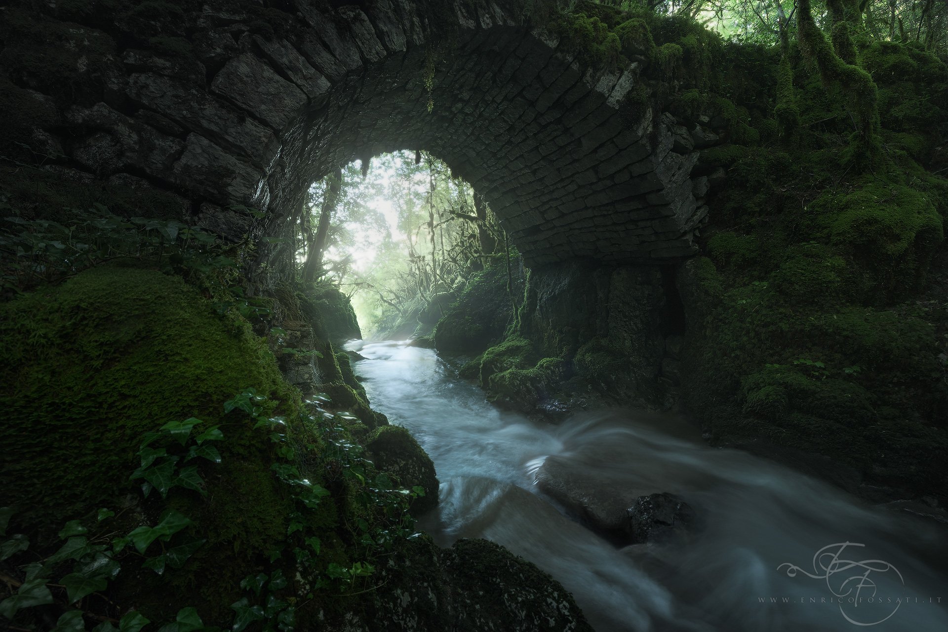 Escape from Woodland Realm