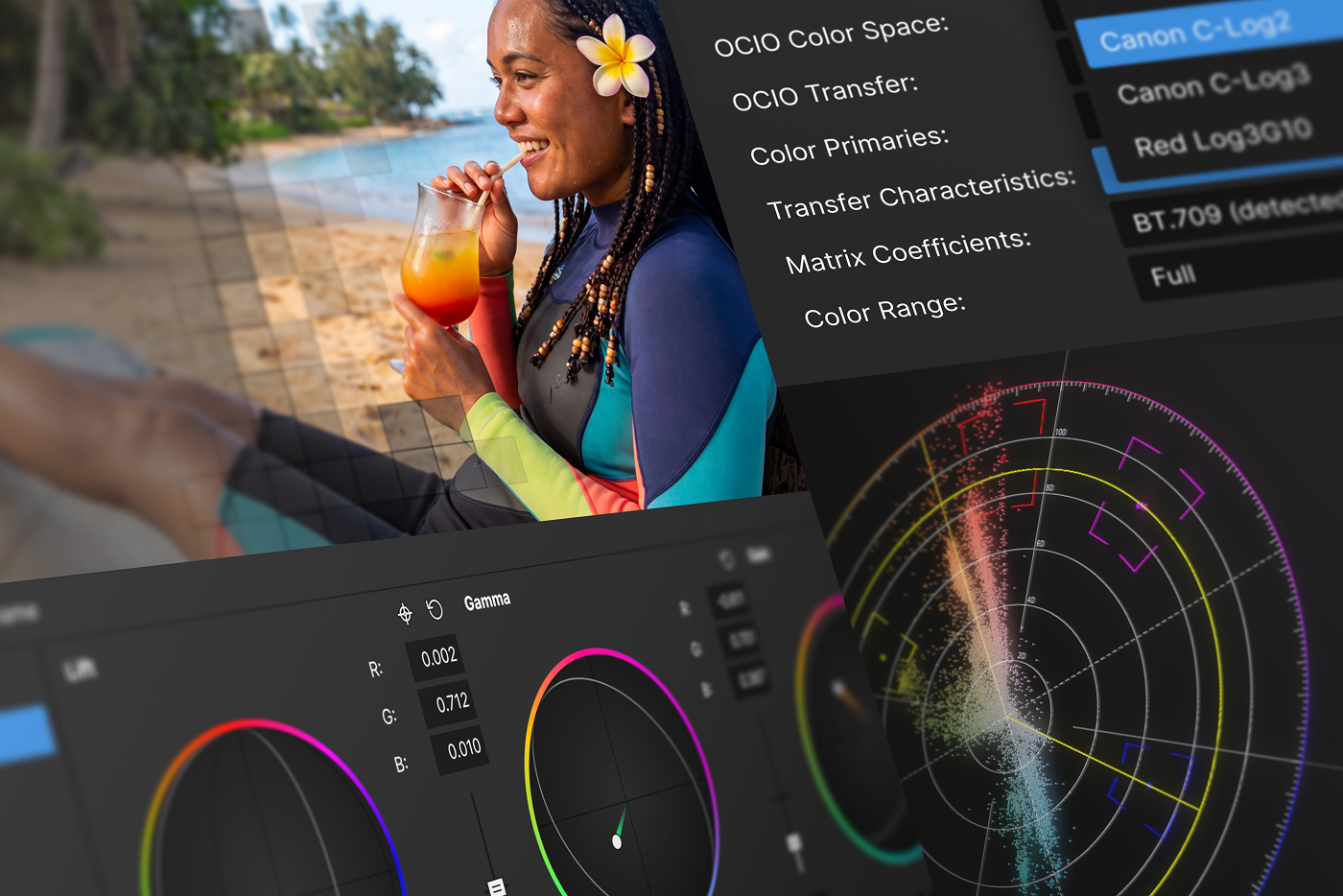 boris-fx-vegas-pro-2027-rebuilt-color-management