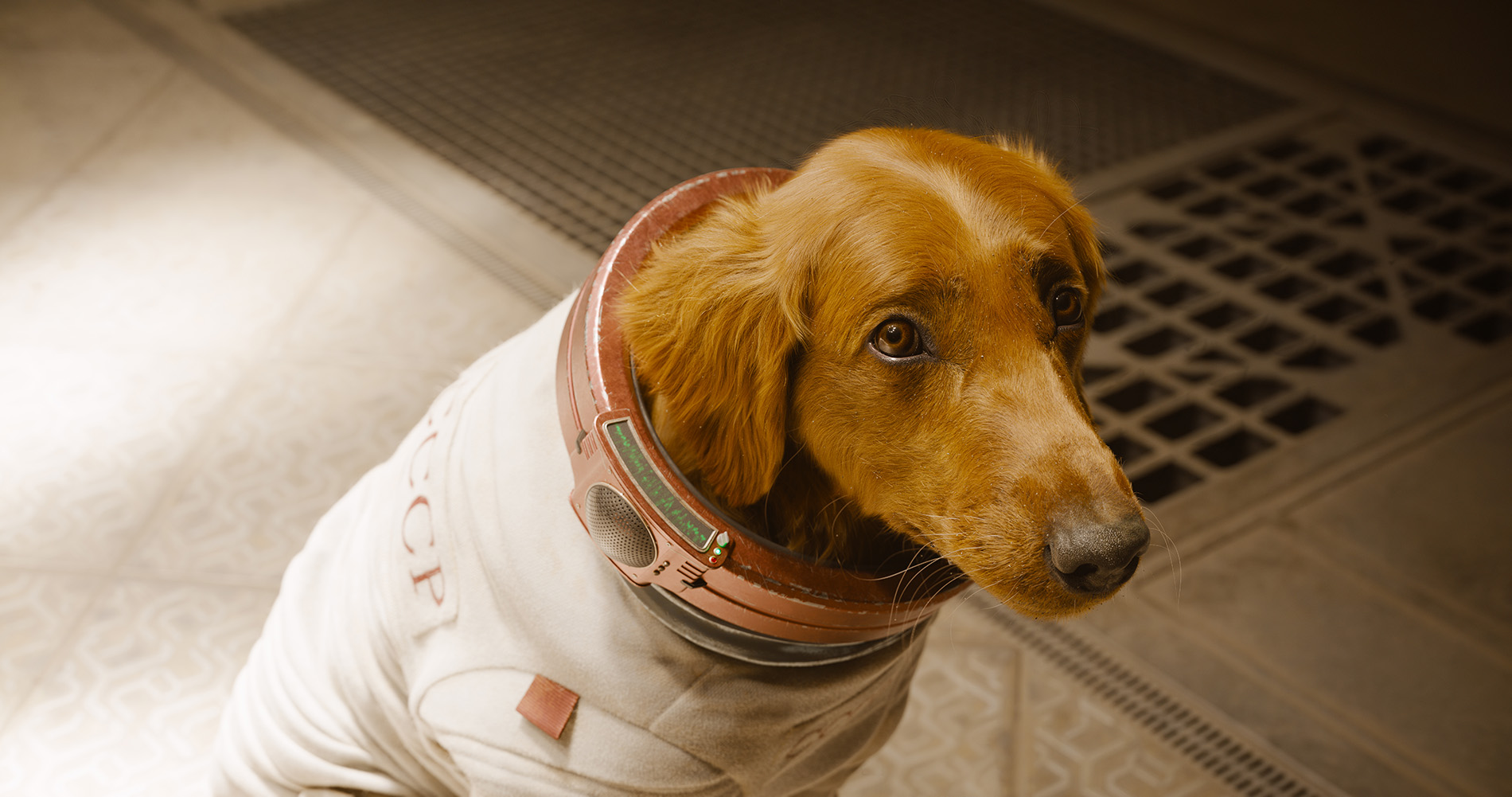 Cosmo the space dog from Guardians of the Galaxy, Vol 3