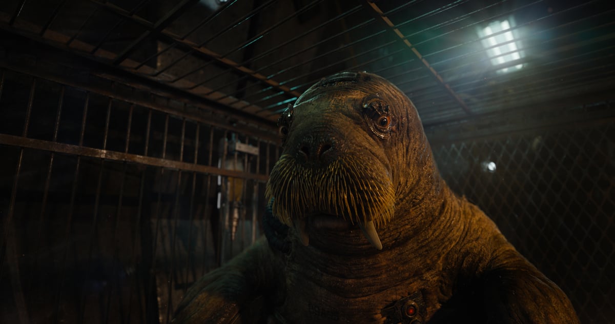 Teefs the walrus from Guardians of the Galaxy, Vol 3