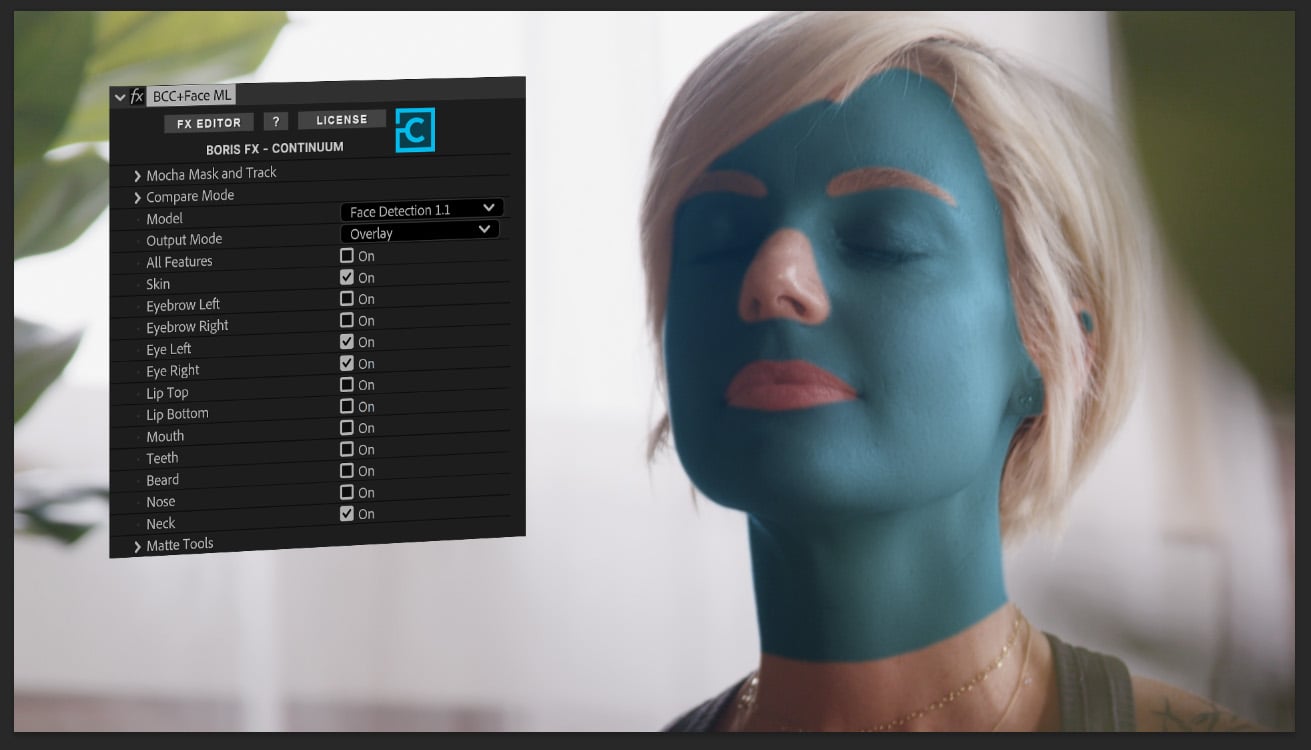 boris-fx-continuum-2026-5-face-ml-update