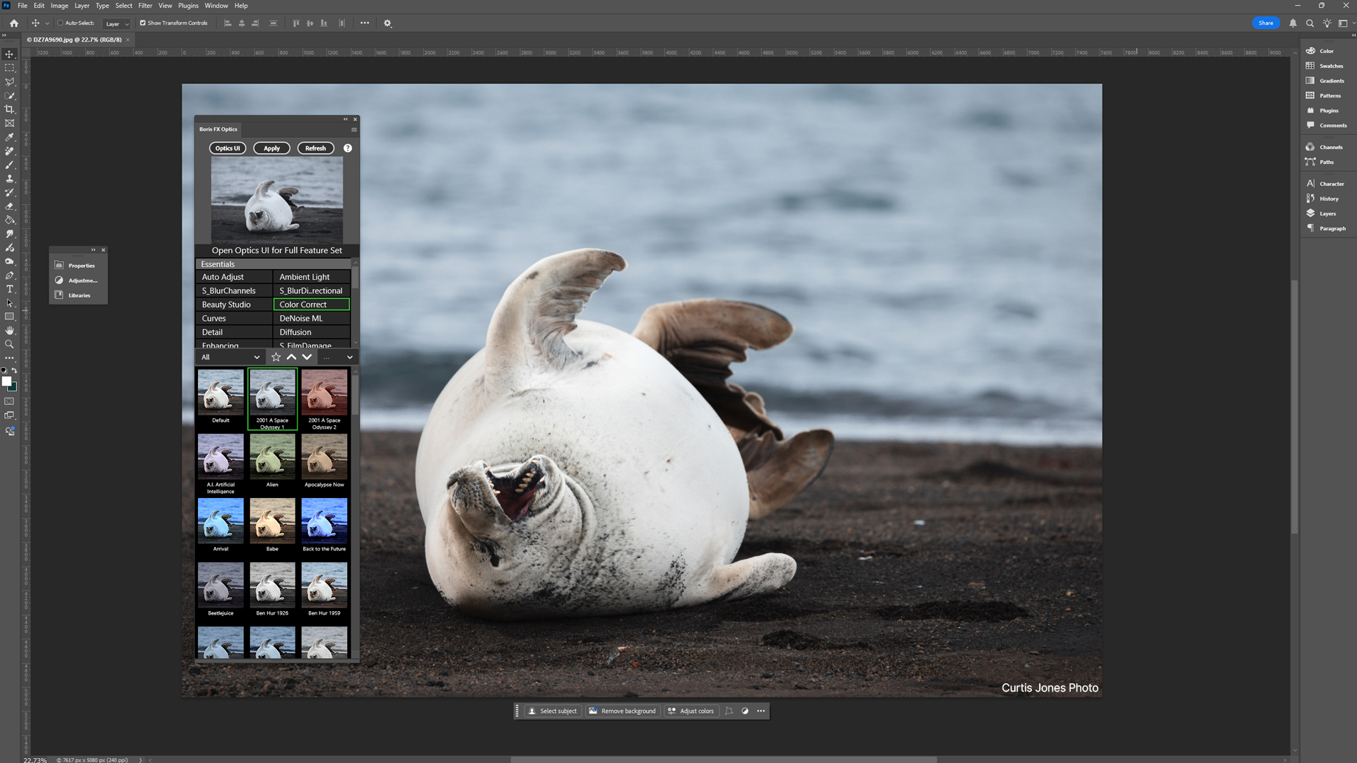 boris-fx-optics-2026-photoshop-plugin-panel-1